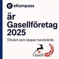 eKompass-Gasell